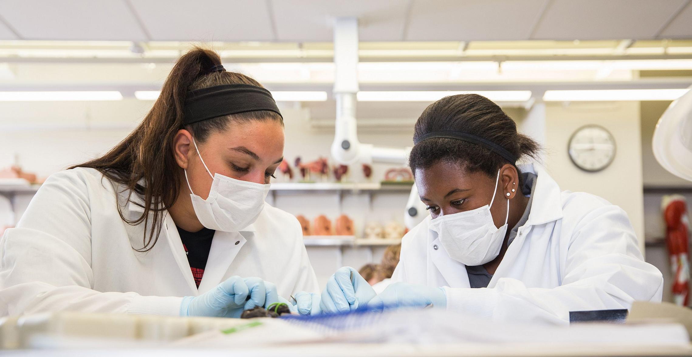 Two nursing students working on a class project. 